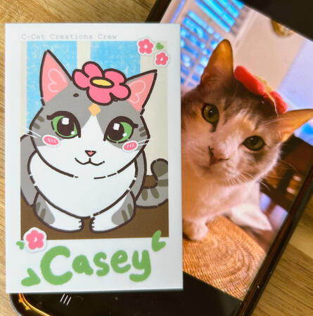 OG Casey